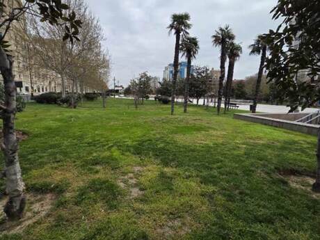 4 otaqlı yeni tikili - Nizami m. - 246 m²
