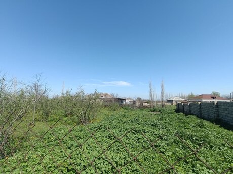 Torpaq - Xaçmaz - 18.5 sot