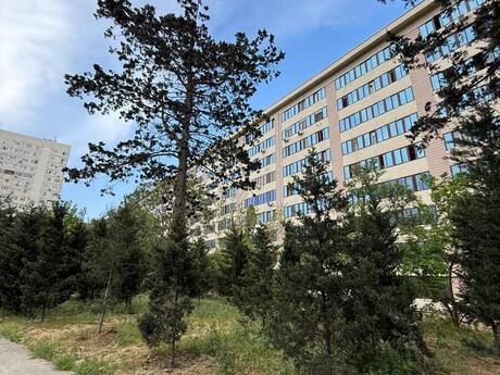 5 otaqlı köhnə tikili - Azadlıq Prospekti m. - 130 m²