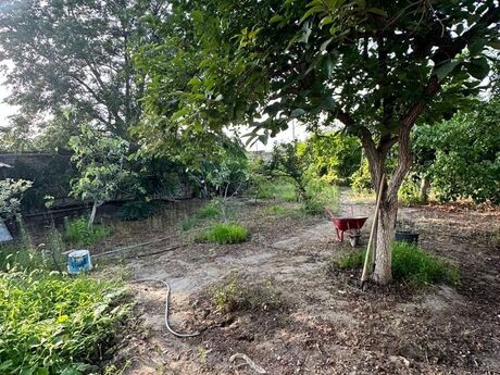 5 otaqlı həyət evi/bağ evi - Novxanı q. - 200 m²