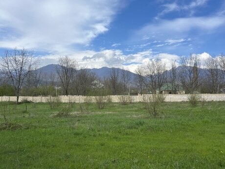 Объявление №6033999 - Габала, Габала, 58 сот