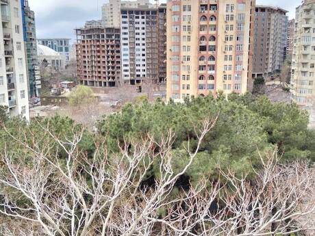 Объявление №6034188 - Баку, м. 28 мая, 1-комн., 38 м², 4/5 этаж