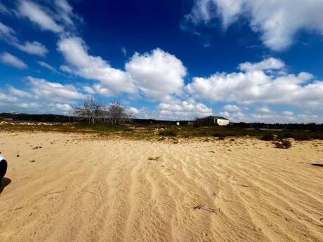 Объявление №6034243 - Баку, пос. Нардаран, 300 сот