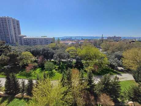 Объявление №6034291 - Баку, м. Ази Асланов, 2-комн., 60 м², 5/9 этаж