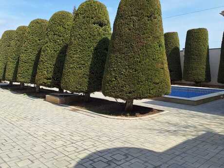 7 otaqlı həyət evi/bağ evi - Novxanı q. - 400 m²