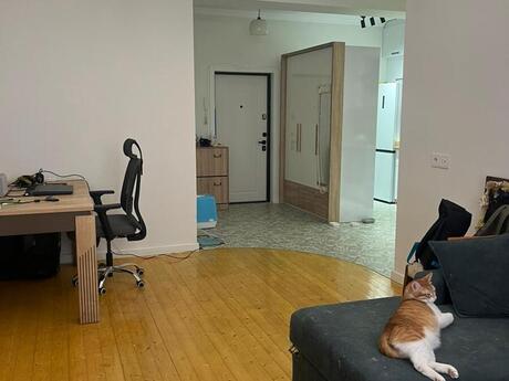 Elan №6035158 - Bakı, Səbail r., 2 otaqlı, 55 m², 5/16 mərtəbə