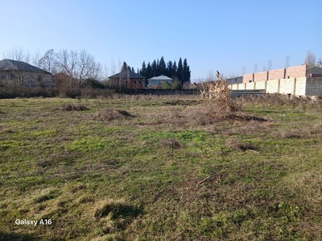 Объявление №6035162 - Масаллы, Масаллы, 74 сот