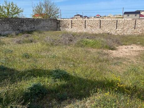 Объявление №6035858 - Баку, пос. Дюбенди, 5 сот