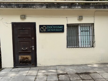 House with Garden, Villa For Rent