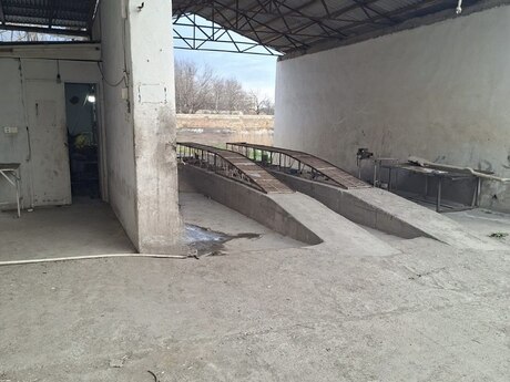 Obyekt - Yevlax - 1500 m²