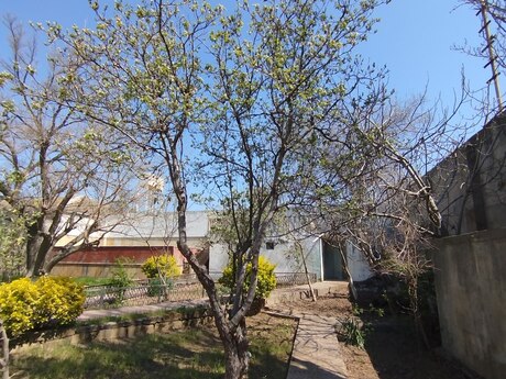 9 otaqlı həyət evi, 150 m², Novxanı: 185 000 ₼ 5