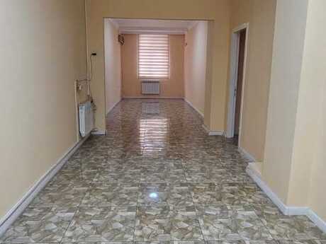 Объявление №6036634 - Баку, м. Азадлыг проспекти, 5-комн., 180 м²