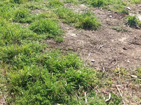 Объявление №5880156 - Баку, пос. Сулутепе, 6 сот