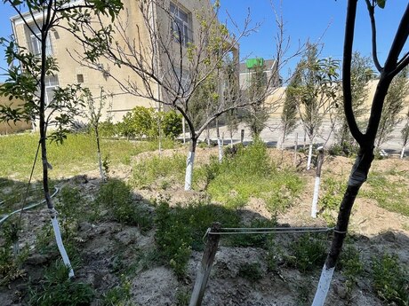 4 otaqlı həyət evi/bağ evi - Novxanı q. - 185 m²