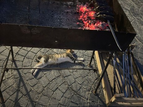 House with Garden, Villa For Rent