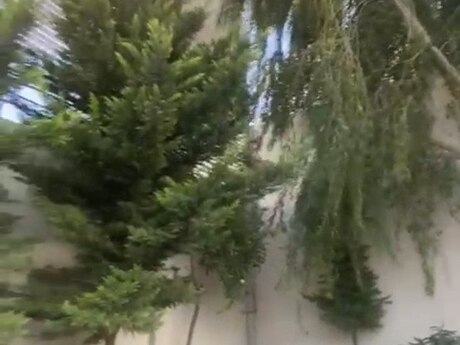 House with Garden, Villa For Sale