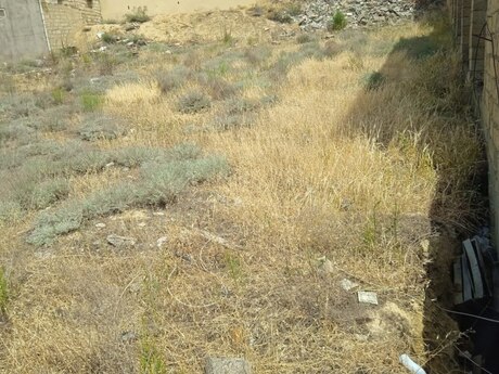 Объявление №6038672 - Баку, пос. Бадамдар, 6.2 сот