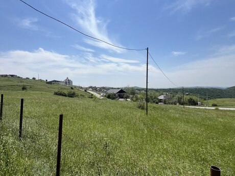 Torpaq - Şamaxı - 200 sot