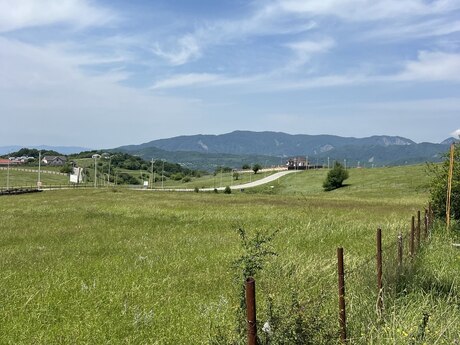 Torpaq - Şamaxı - 200 sot