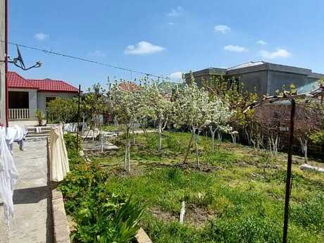 9 otaqlı həyət evi/bağ evi - Masazır q. - 450 m²