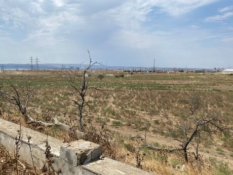 Объявление №6039217 - Баку, пос. Мамедли, 250 сот