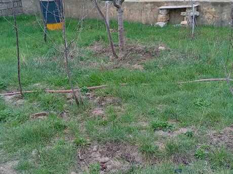 House with Garden, Villa For Sale