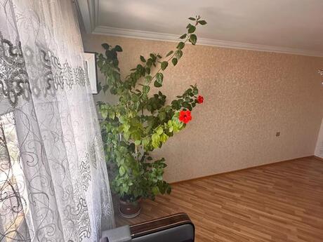 2-комн. вторичка - пос. Ени Гюнешли - 50 м²
