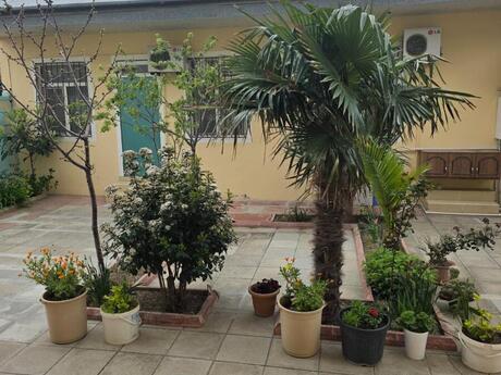 5 otaqlı həyət evi/bağ evi - Badamdar q. - 200 m²