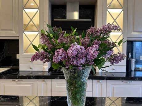 Объявление №6040837 - Баку, м. Нариман Нариманов, 3-комн., 137 м², 8/16 этаж