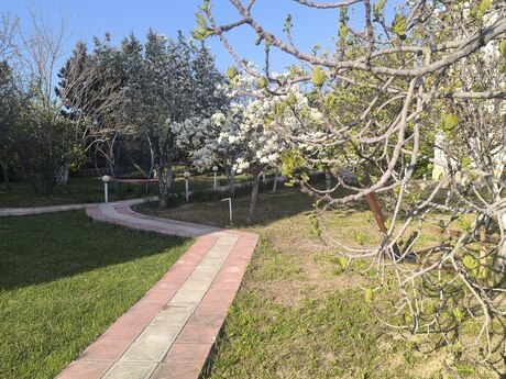 5 otaqlı həyət evi/bağ evi - Novxanı q. - 300 m²