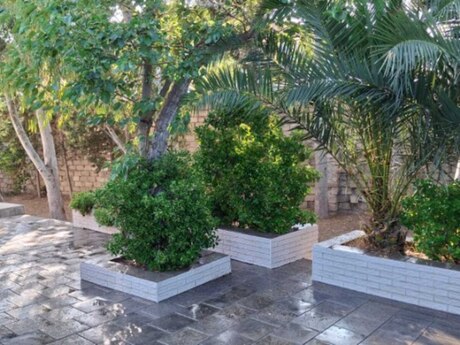 3 otaqlı həyət evi, 85 m², Şüvəlan: 225 000 ₼ 5