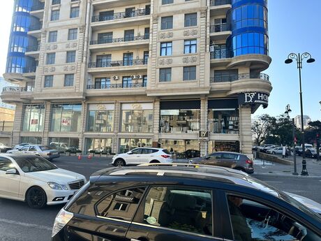 Obyekt - Elmlər Akademiyası m. - 533 m²