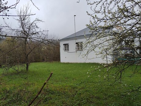 3 otaqlı həyət evi/bağ evi - Quba - 110 m²