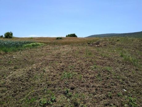 Объявление №6042732 - Баку, м. Ахмедлы, 350 сот