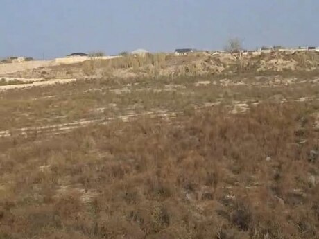 Elan №6043201 - Bakı, Nardaran q., 25 sot