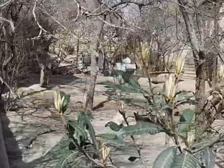 Объявление №6043652 - Баку, м. Насими, 4 сот