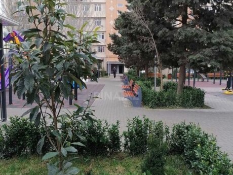 2 otaqlı köhnə tikili - Yeni Günəşli q. - 60 m²