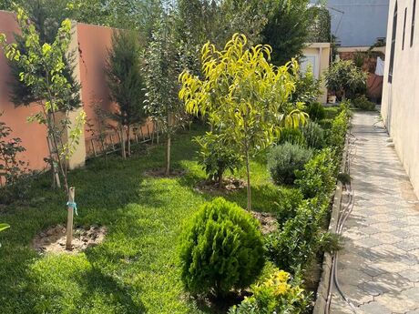 6 otaqlı həyət evi/bağ evi - Xəzər r. - 240 m²