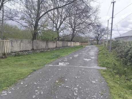 Объявление №6044183 - Габала, Габала, 42 сот