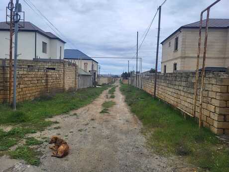 Elan №6045078 - Bakı, Abşeron r., 11.5 sot