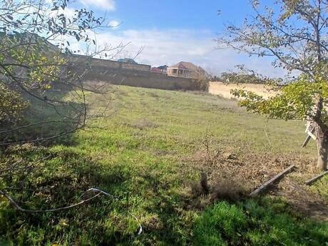 Elan №6045356 - Bakı, Buzovna q., 12 sot