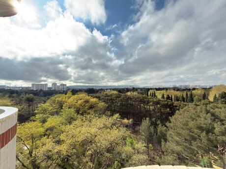 Elan №6045476 - Bakı, Səbail r., 3 otaqlı, 142 m², 7/18 mərtəbə