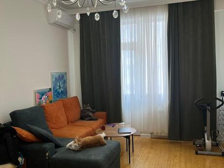 Elan №6046203 - Bakı, Badamdar q., 2 otaqlı, 55 m², 5/16 mərtəbə