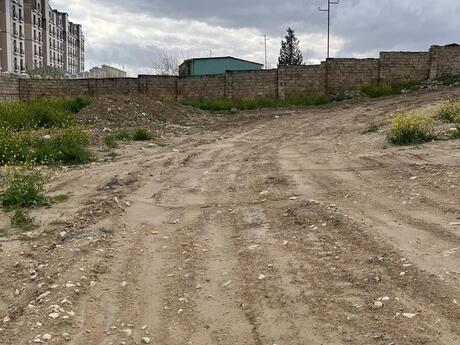 Şıxov q.