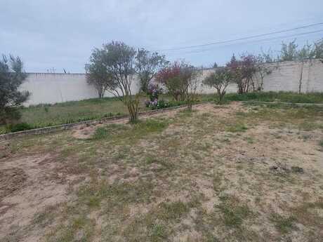 Elan №6046662 - Bakı, Albalılıq q., 6 sot