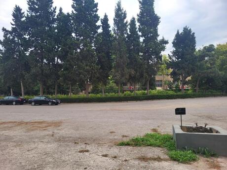 Obyekt - Nərimanov r. - 1000 m²