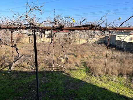4 otaqlı həyət evi/bağ evi - Abşeron r. - 115 m²