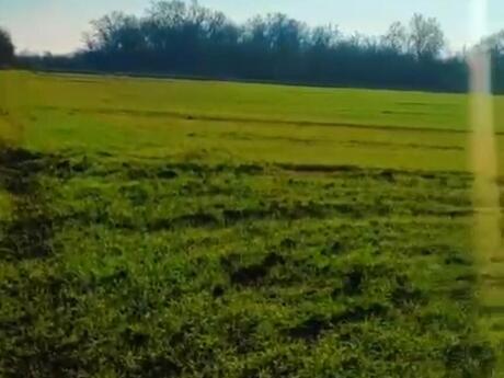 Объявление №6047023 - Хачмаз, Хачмаз, 126 сот