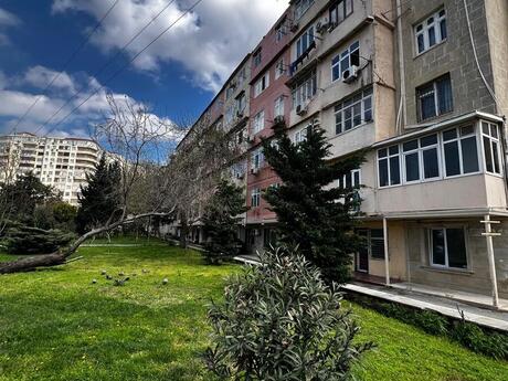 Объявление №6046764 - Баку, м. Кара Караев, 3-комн., 85 м², 4/5 этаж