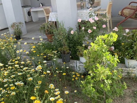 2 otaqlı həyət evi/bağ evi - Şüvəlan q. - 85 m²